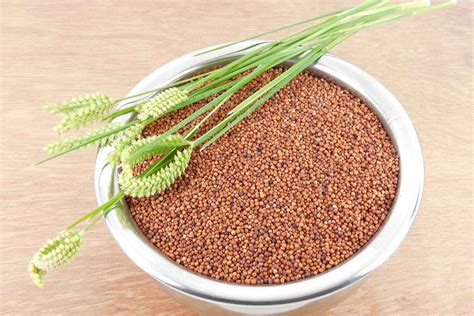 ragi in pregnancy nutrition